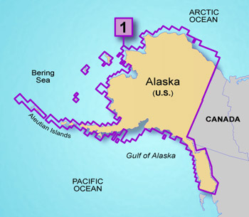 Garmin Topo 100K microSD/SD Region 1 - Alaska 