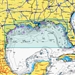 Navionics Platinum Plus XL3 907P+ - Gulf of Mexico on SD