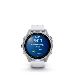 Garmin Fenix 8 43mm Silver with Whitestone Band