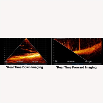 Lvs12 transducer Clearance