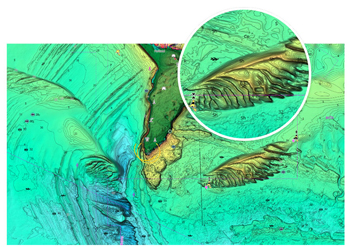 Reveal X Shaded Relief Reveal X Shaded Relief