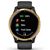 Garmin Venu AMOLED GPS Smartwatch – Black with Gold Hardware
