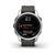 Garmin fenix 7S Pro Solar Silver with Graphite Band