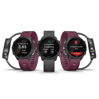 Garmin Forerunner 245 GPS Running Watch | The GPS Store