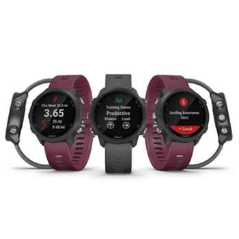 Garmin Forerunner 245 GPS Running Watch