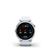Garmin Fenix 7s Silver with Whitestone Band