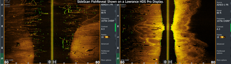 SideScan Fishreveal SideScan Fishreveal