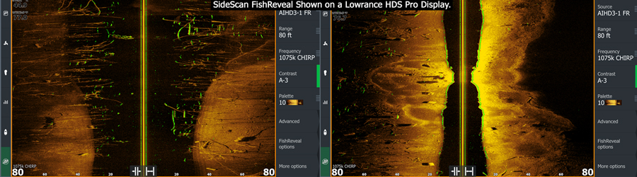 SideScan Fishreveal