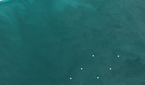 Standard Mapping Professional Artificial Reefs Image Standard Mapping Professional Artificial Reefs Image
