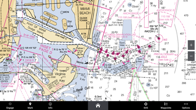 Garmin-Nav-Raster Garmin-Nav-Raster