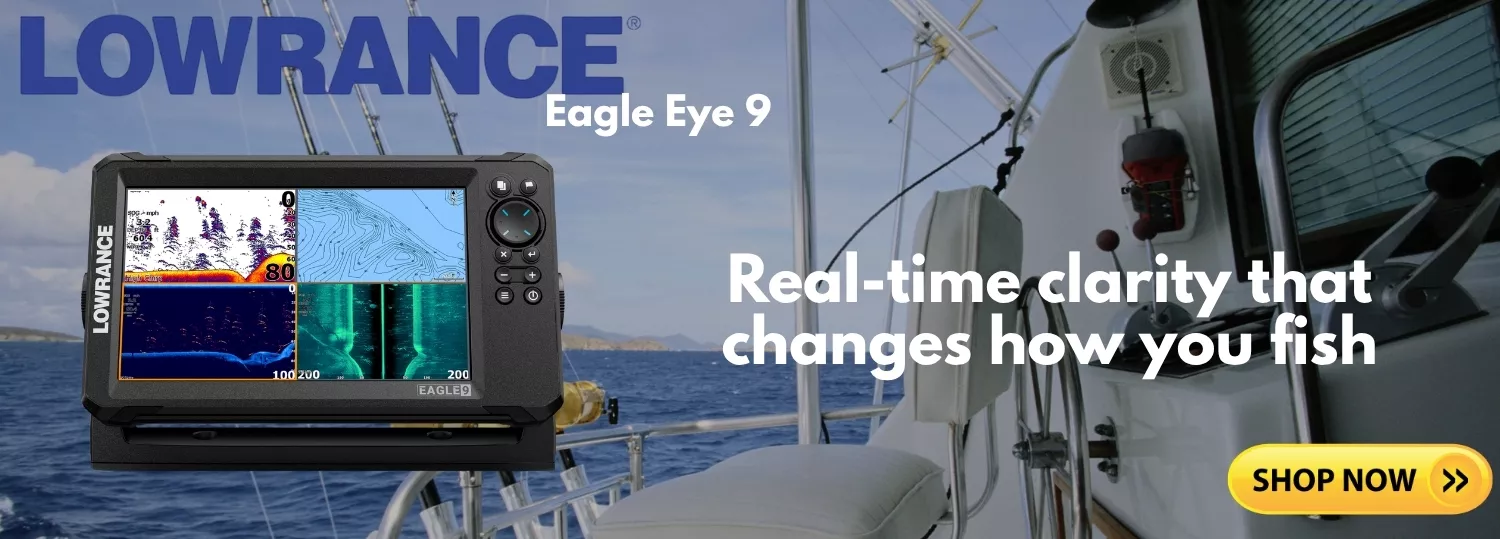 Eagle-Eye-92.webp