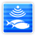 Has Echo Sounder Has Echo Sounder